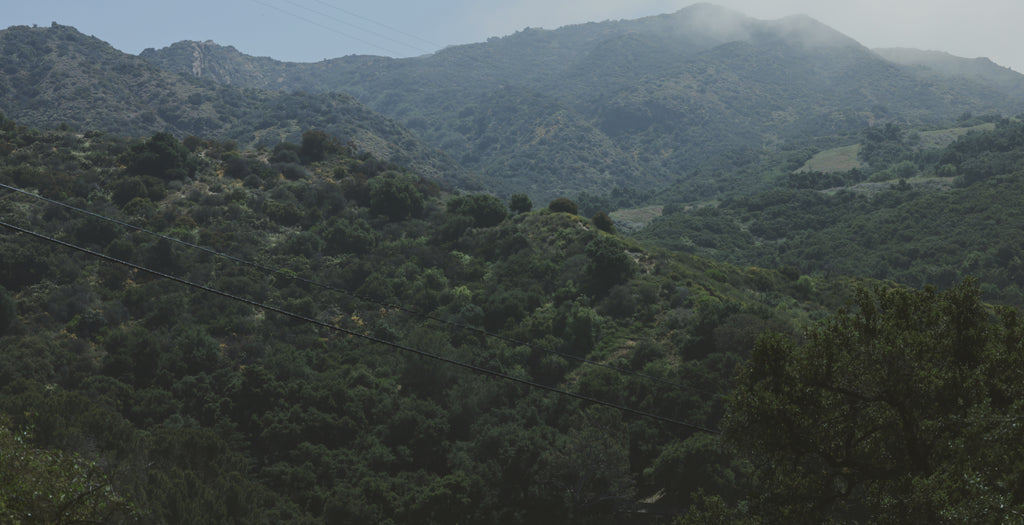 Fable Home sustainably mountains